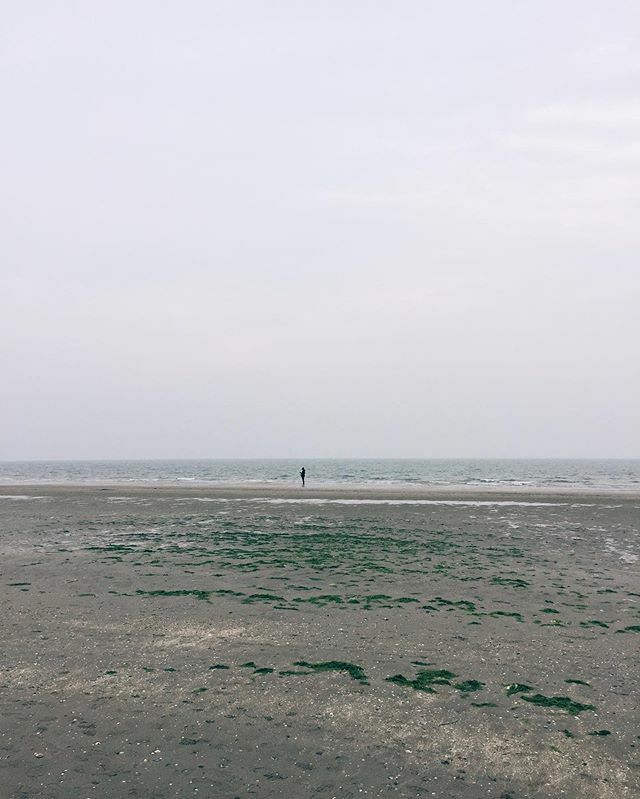 Francesca_effeM's tweet photo. Emblema del mondo di oggi 
#igersfvg #vscocam #absolutelygrado https://t.co/MOtFdEeHcU https://t.co/2lNEweMRgj