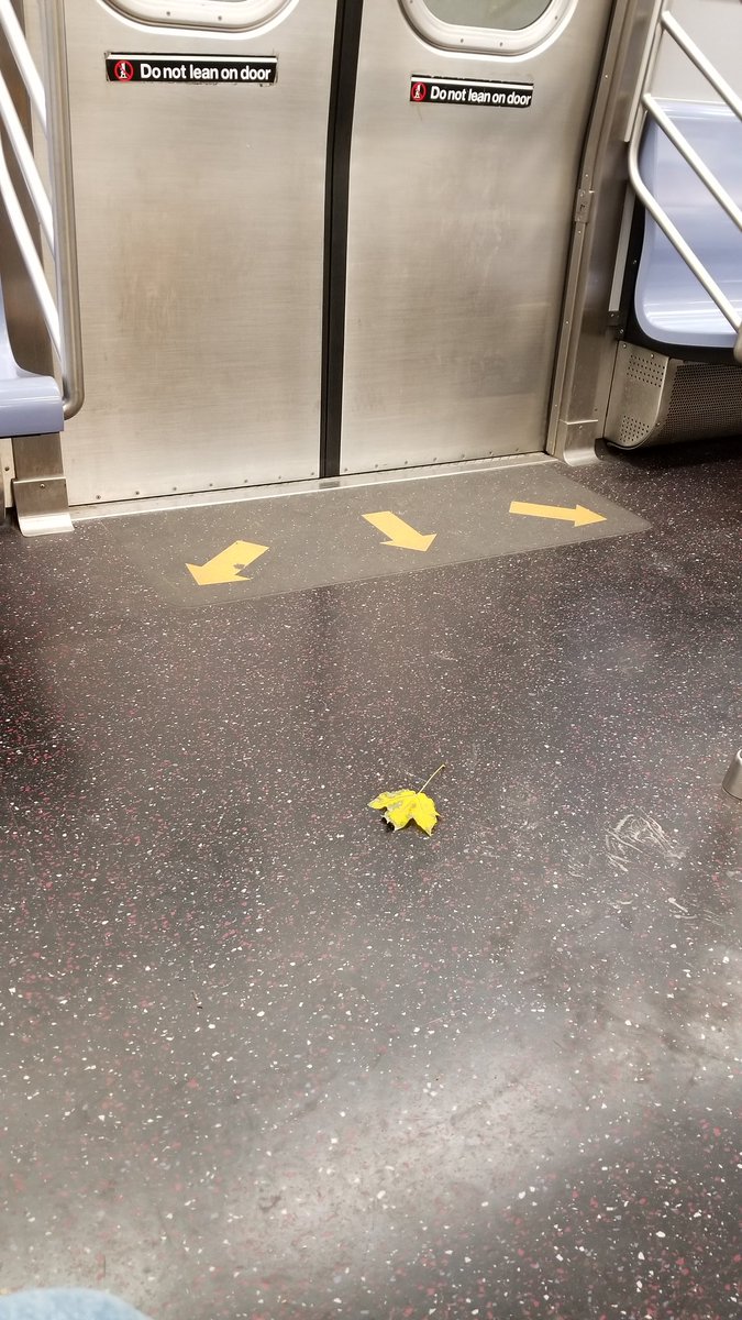 212NY's tweet photo. Stand clear of the falling leaves.

#nyc #SundayFeels #SUBWAY @NYCTSubway @MTA https://t.co/qAGZNHwwLd