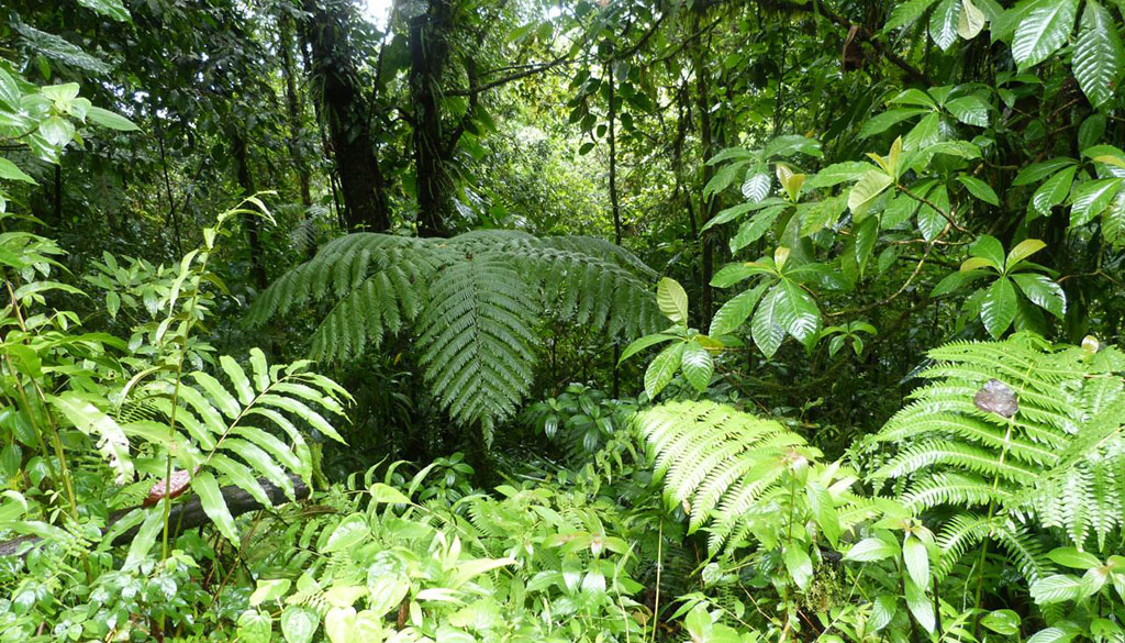 Logoti_net's tweet photo. Un concours de recrutement de fonctionnaires (#Togo), pour le compte du ministère de l’environnement, du développement durable et de la protection de la nature, est ouvert dans les centres de Lomé et Kara.

https://t.co/0Uy8dnG9nF

#logoti #concours #emploi #environnement https://t.co/8Otf8sTtmD