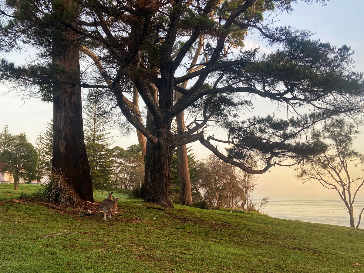 DrSkous's tweet image. Last week Team CDLE escaped Cbr to enjoy a planning conference at the glorious #HMASCreswell. Our beautiful surrounds made for some inspiring conversations - and now we’re back I can’t wait to see us put all these great plans into practice!! #ForTheFutureWeLearn