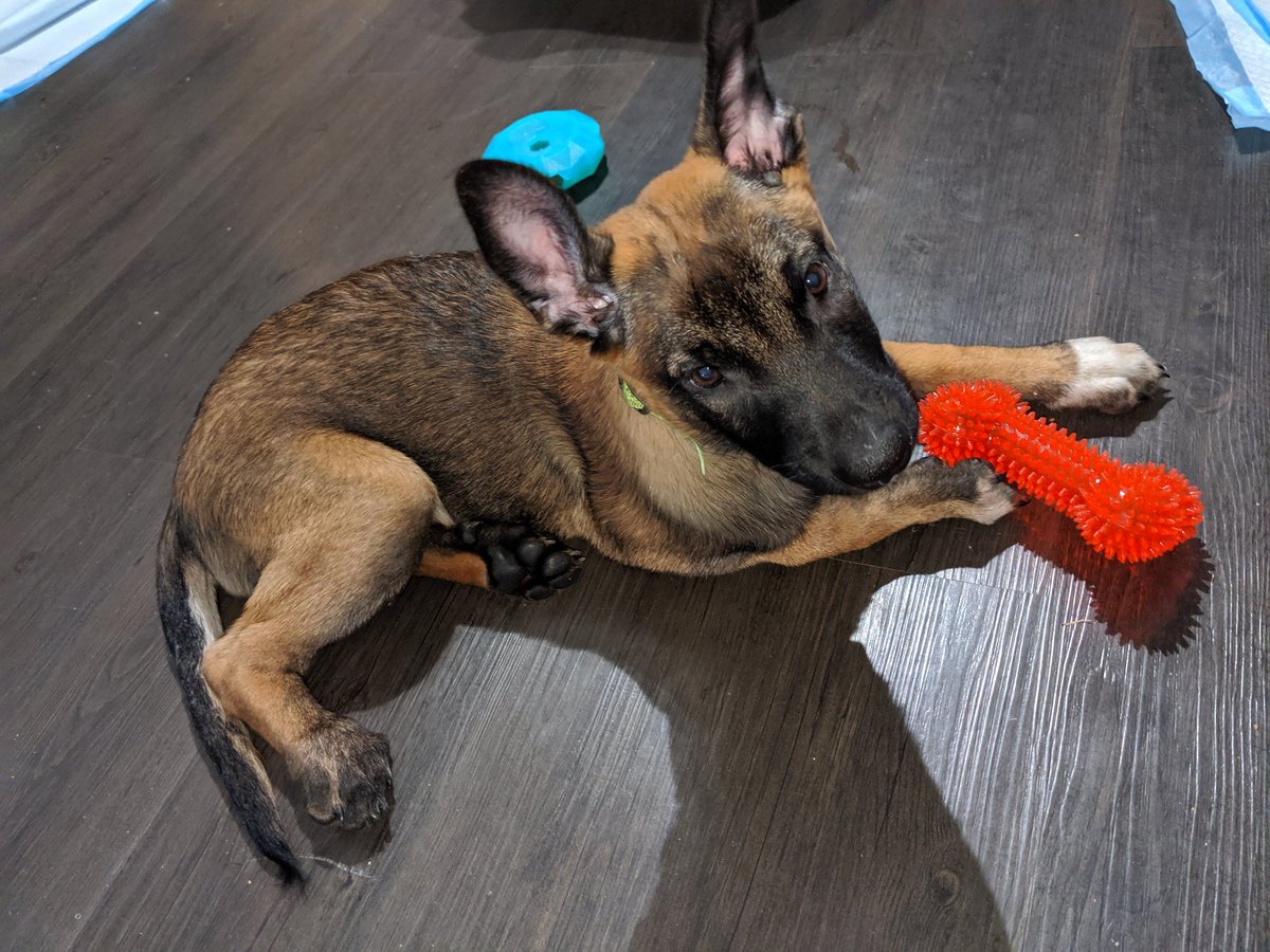 Soflanow tweet media