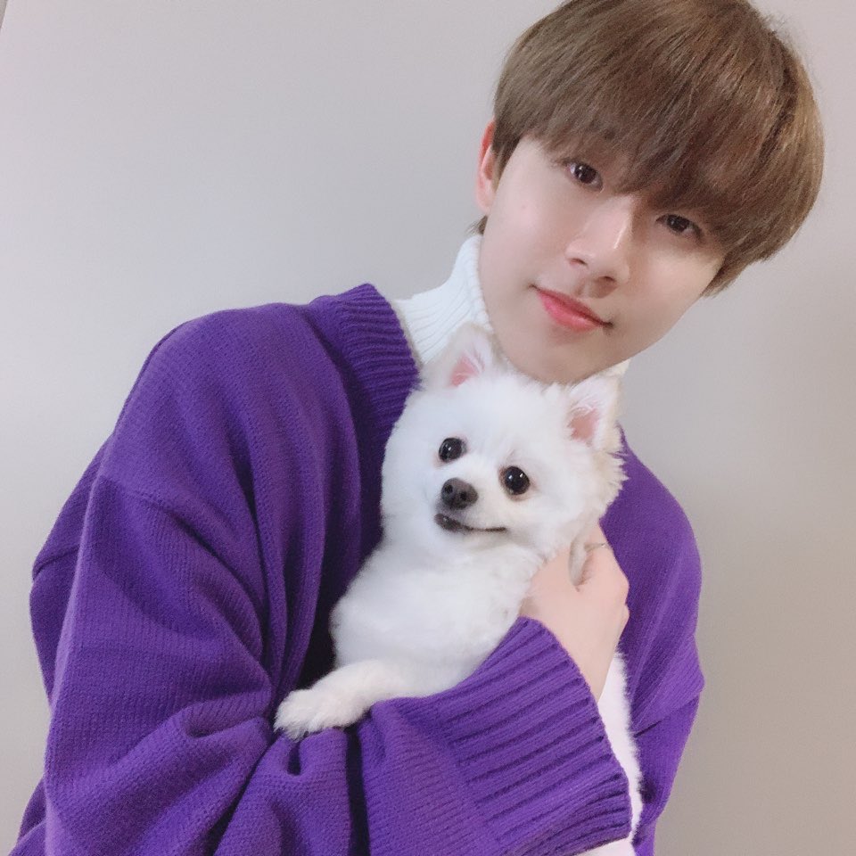 day 54, february 23rdkim donghyun➪ golden child - main dancer, vocalist➪ non-biasyou’re so cute !! i randomly scrolled and clicked this pic in my camera roll but its also ur bday so happy bday ! love u