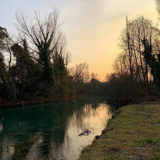 EmmaMyrick's tweet photo. After all the gallavanting, some days it’s all about enjoying the small things. https://t.co/eg5DYLJtqi https://t.co/73vYigWuSD