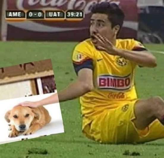 perfil criado para guardar mídias que acho top 🤝 (@chorastesklein) on Twitter photo 