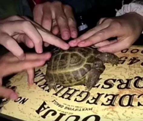 perfil criado para guardar mídias que acho top 🤝 (@chorastesklein) on Twitter photo 