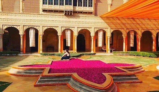 Will Travis tweet media