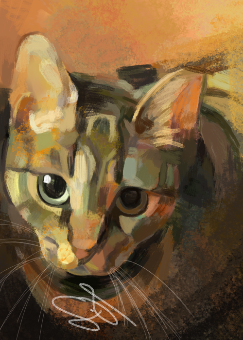 Pets are a wonder ❤️ #cat #originalart #originalartwork #digitalartwork #pet