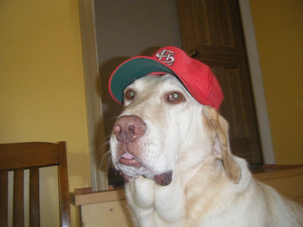 Halftime break:This is Wesley, my family's dearly-departed basset hound/yellow lab.He was the goodest boy who ever good boy'd.13/