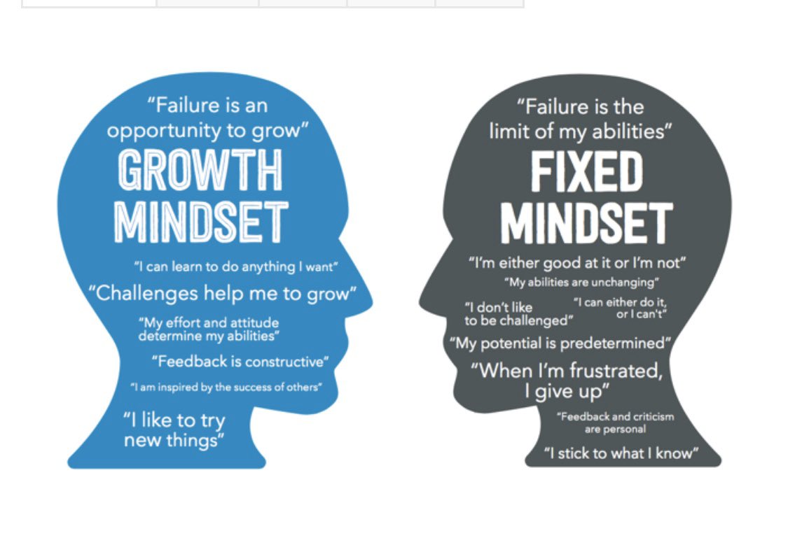 SiskLori's tweet photo. #GrowthMindset vs. a #FixedMindset is the difference between a #amateur vs. a #Pro #SAPro. 
How will you get there? #LeanintoTheDiscomfort #persist embrace #grit and embrace the #LifelongLearner mentality. #HEPro #CarolDweck https://t.co/uA3IjbNpNJ