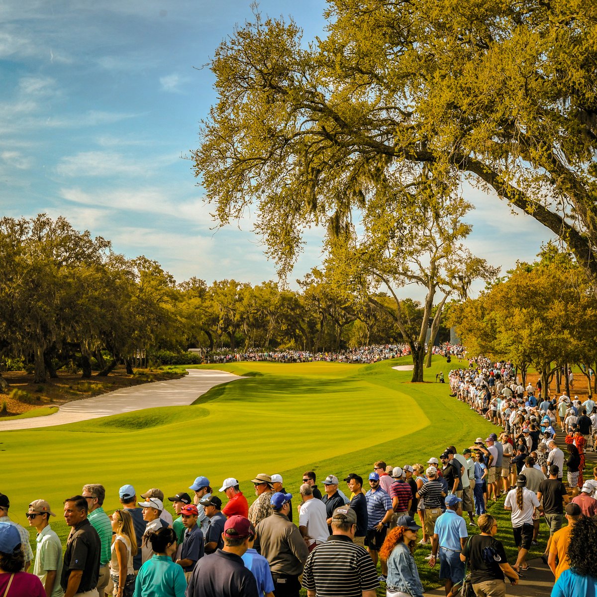 THEPLAYERS's tweet photo. Three Sundays from another PLAYERS Champion. 🏆 https://t.co/EXImhkwAUT