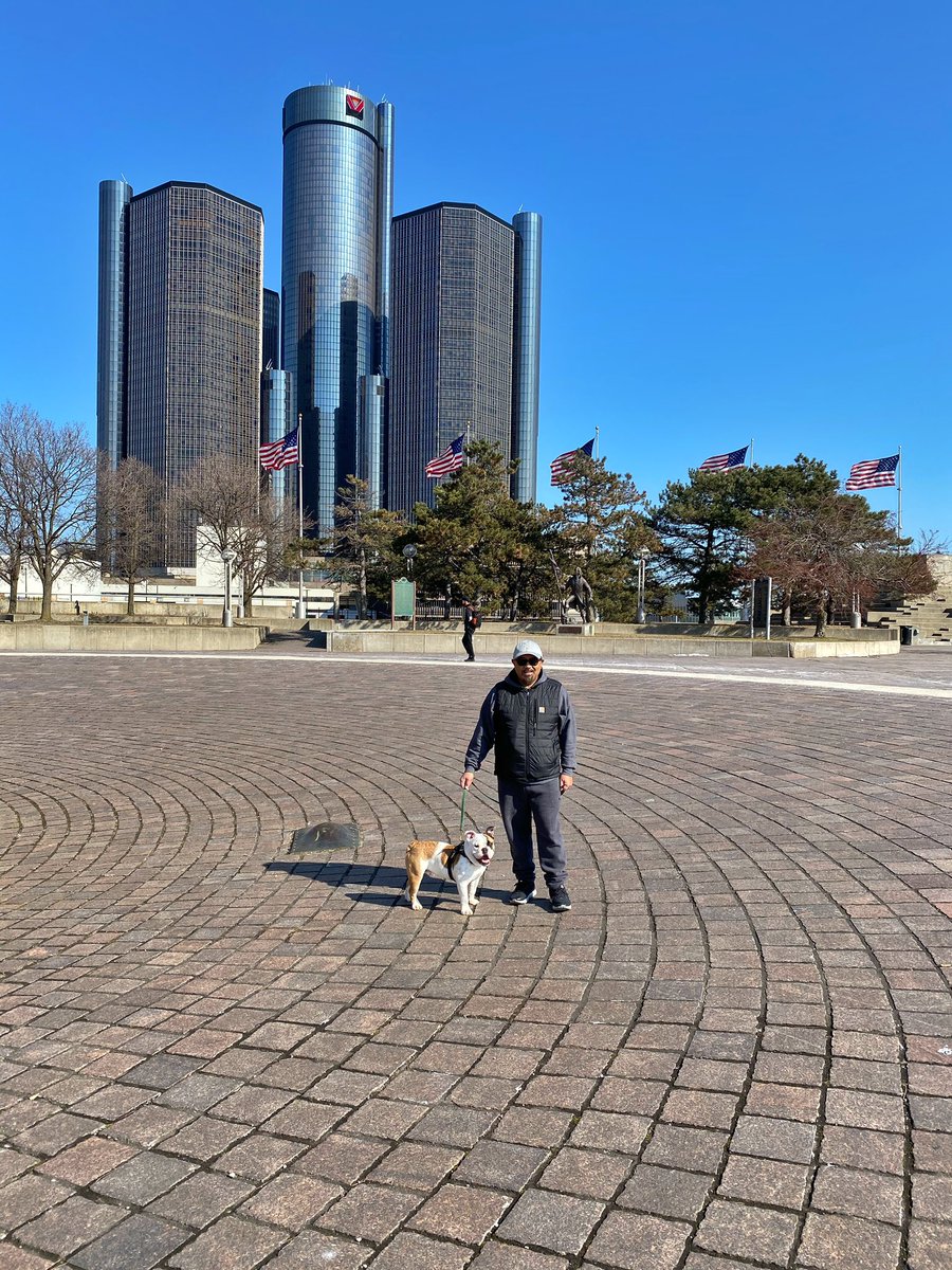 benwa808's tweet photo. Beautiful Sunday walk in the D with Jerry. 🚶🏻🐶 https://t.co/d8glTZ9pxV