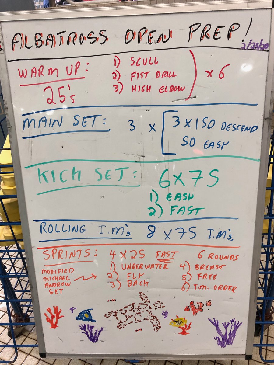 Waterproofcoach's tweet photo. Getting ready for the Albatross Open next Saturday.  #swim #swimming  #swimmers  #swimfast #swimworkout  #fitness @Waterproofcoach https://t.co/384o1t3Ypw