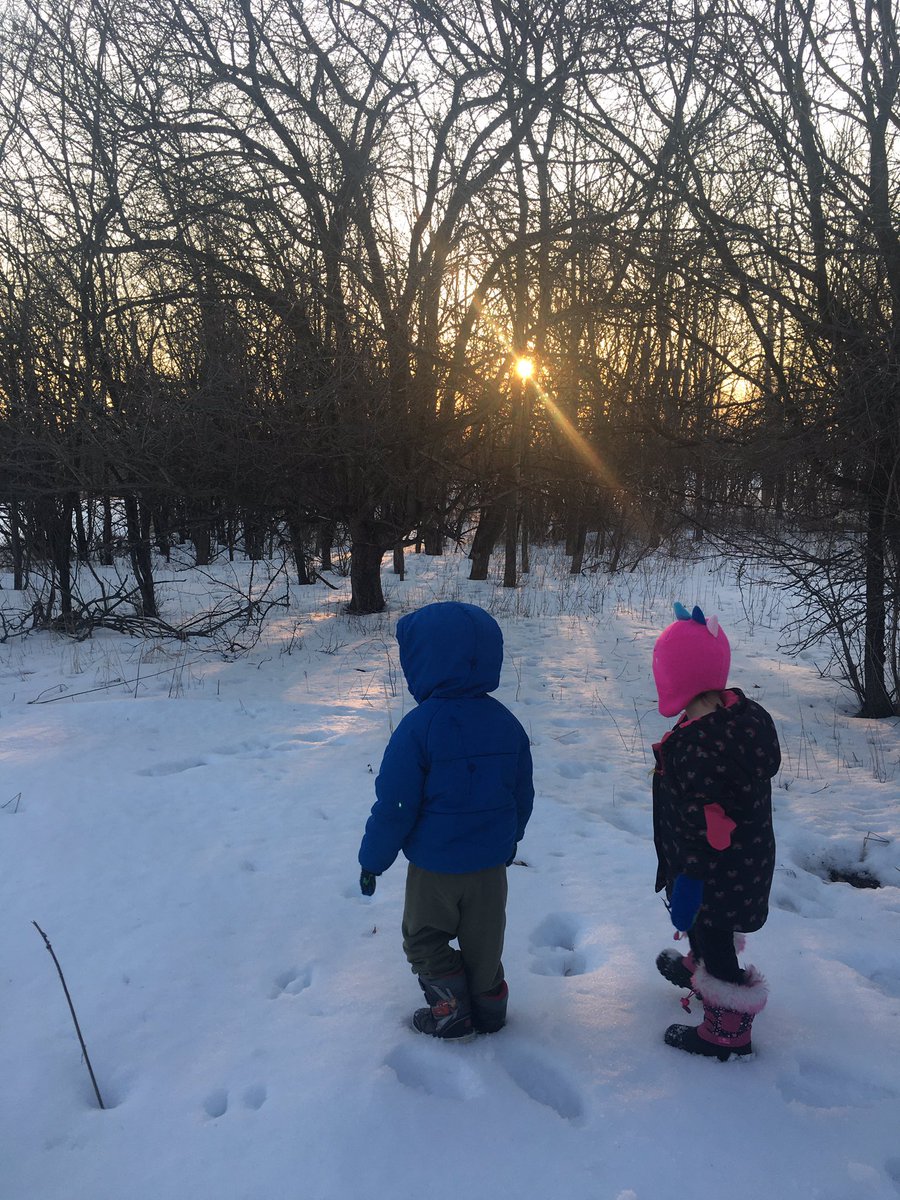 Erika43439008's tweet photo. The kids call this little patch of woods behind our house the forest 🌳😅  They think it’s so cool #prettytho https://t.co/h1vEglW3PO