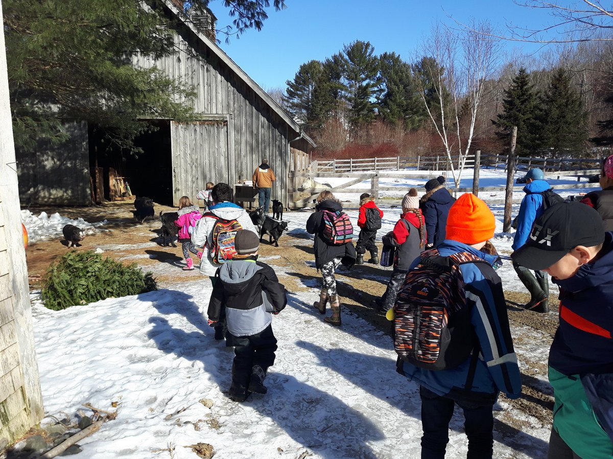 DNCS students visited Our Farmacy in Bear River for a hands on learning experience on Friday. Many thanks to Trish Brown and our hosts Shelley and Jason! #watchuslearn 
#TCRCE_NS