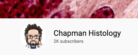 Well, it finally happened. The Chapman Histology YouTube channel finally hit 2K subscribers! Thank you to everyone who supports the channel through a subscription &amp; those who take the time to like &amp;/or comment on the videos. I hope the channel makes your histology journey easier.
