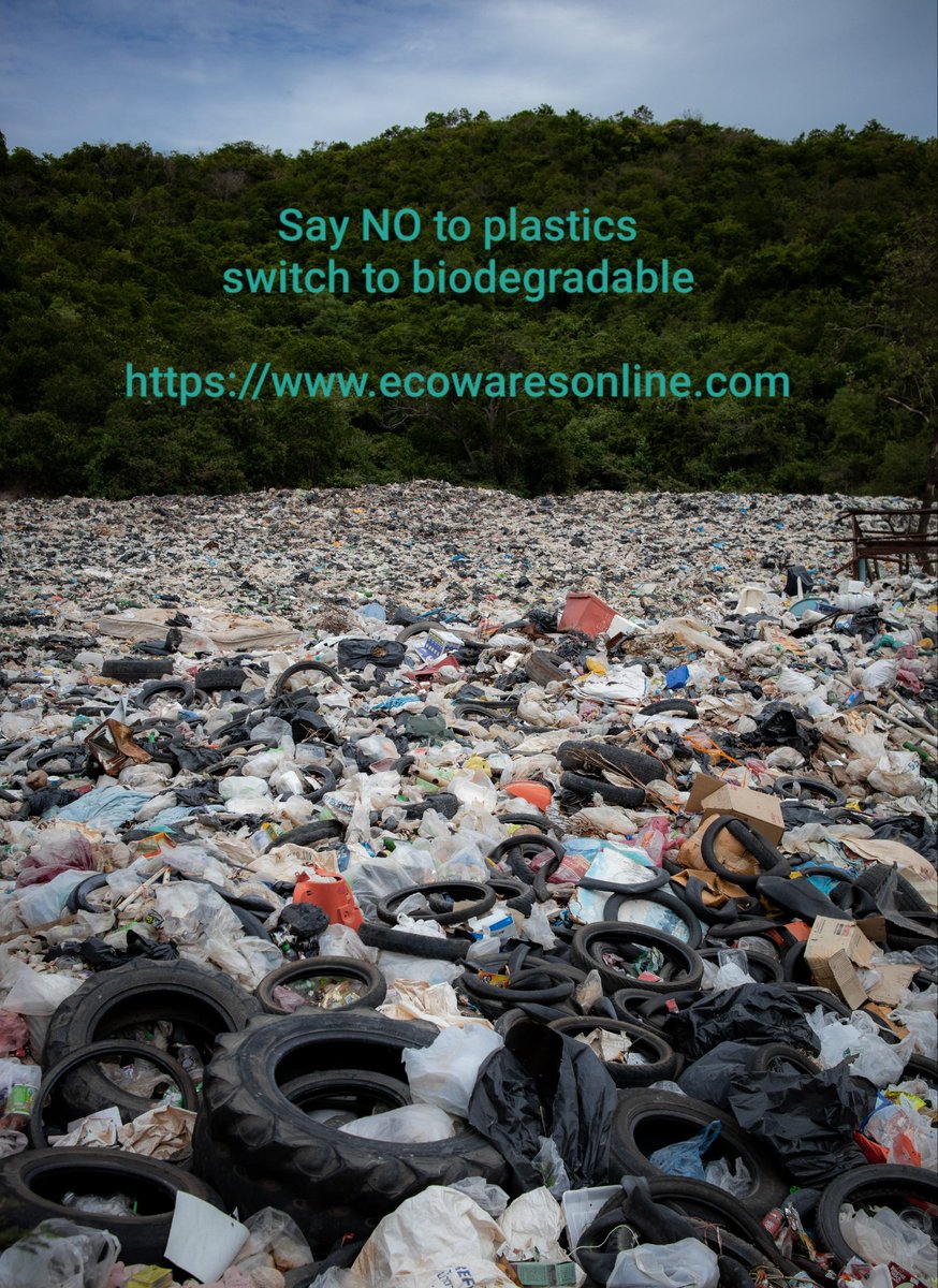 Let's fight single use plastic
ecowaresonline.com