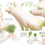 【野菜が愛おしくなりそう】野菜や鳥をモチーフにした動物たちの図鑑が可愛すぎる