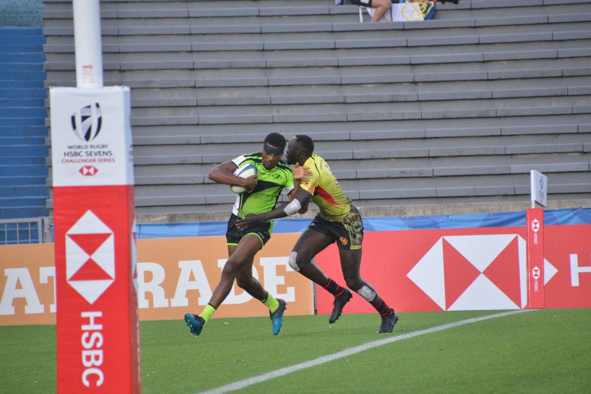 Seven Punta tweet media