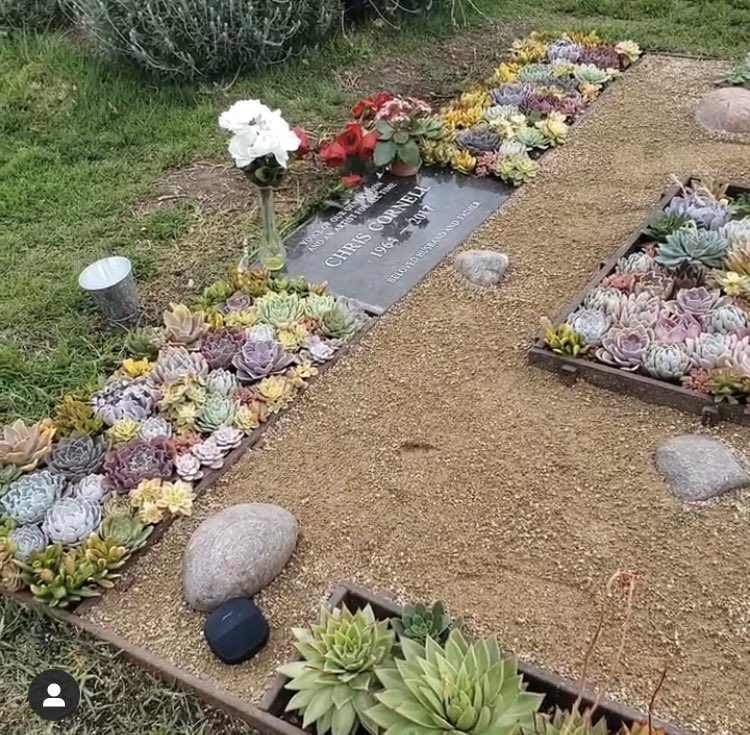shacksbeac's tweet photo. Wanted to share @chriscornell @hwdforever from YESTERDAY! It looks beautiful @vickycornell ! #Backoffhaters ! https://t.co/Y9M6NdFtz1