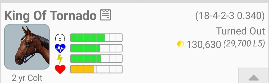 KenatStables's tweet photo. All are in auction!! @AndPacing https://t.co/u7fc3hkH1K
