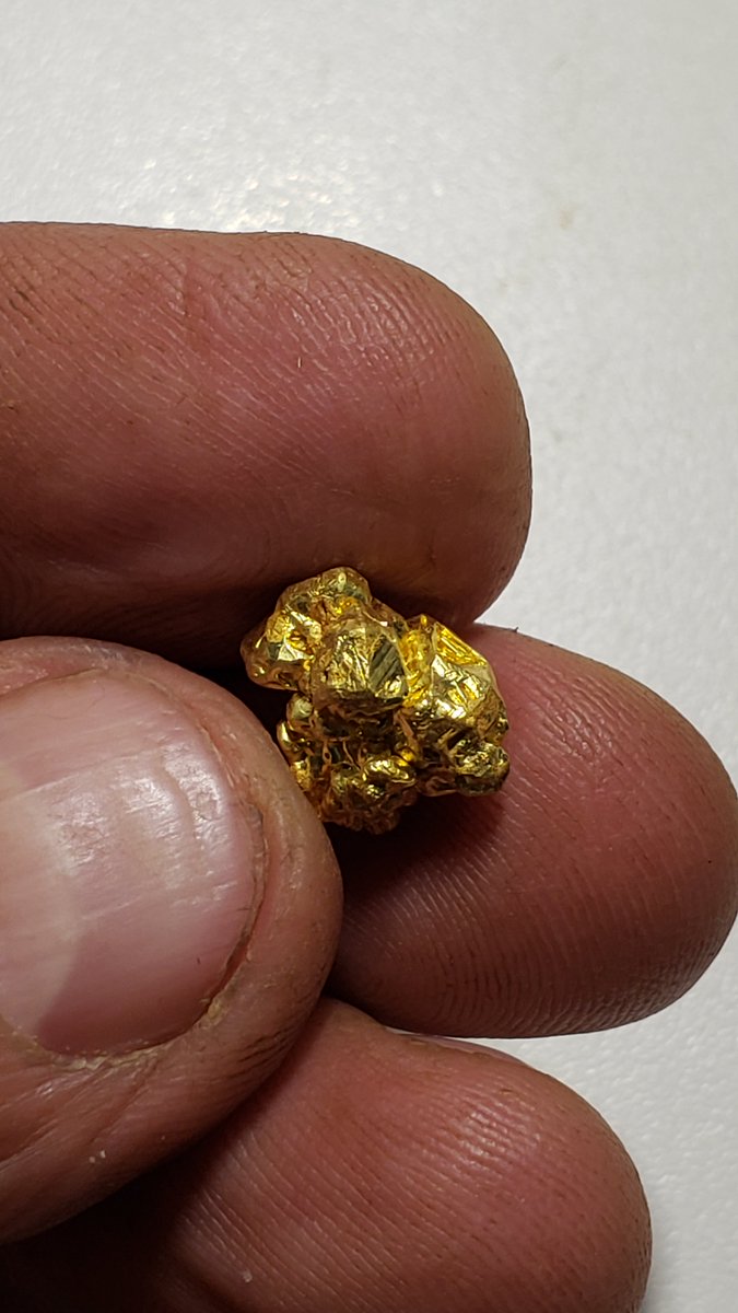 's tweet image. Just a few of the very beautiful gold crystals from the Colorado quartz mine that we got last year. Watch the website as I will be posting these for sale in the very near future :-) #goldbay #paydirt #digginggold #mining #mlgdave #raregold #californiagold