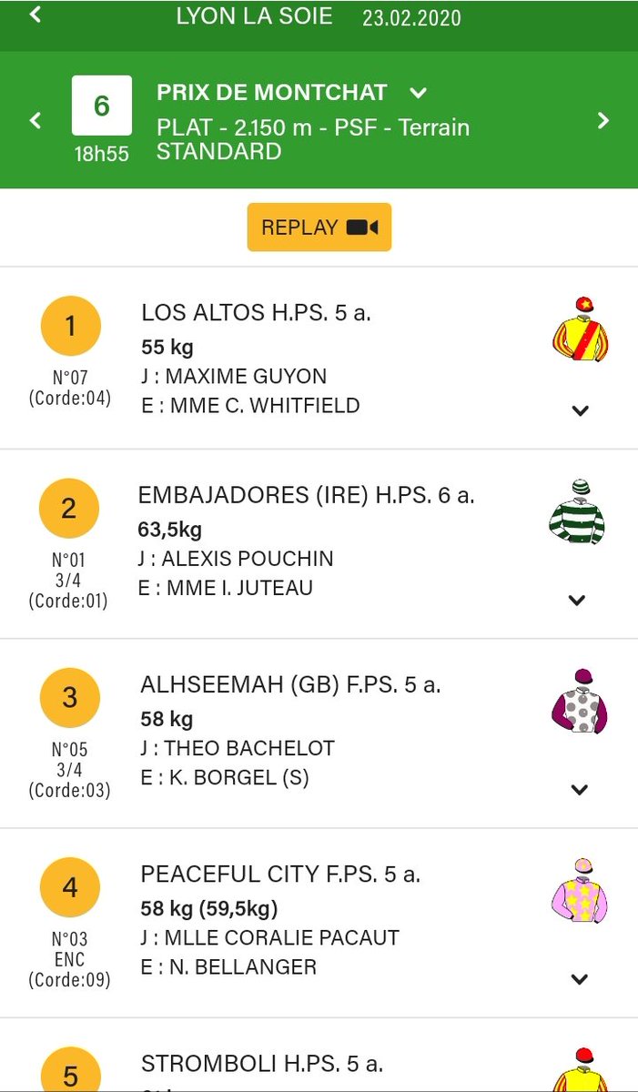 NicBellanger's tweet photo. 23/02/2020 PEACEFUL CITY conclue 4ème sur l'hippodrome de Lyon la Soie @LyonHippodromes 
#ecuriebellanger #peacefulcity https://t.co/MyEyjr5jAH