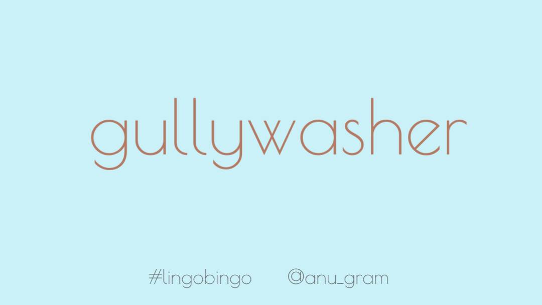 Word today is the evocative 'Gullywasher', meaning a typically short and heavy rainstorm #lingobingo