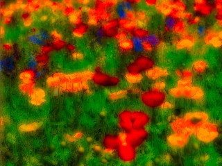 dustga's tweet photo. a v a l o n (II) https://t.co/UH7mKHZc72 https://t.co/87PZSIZjAC