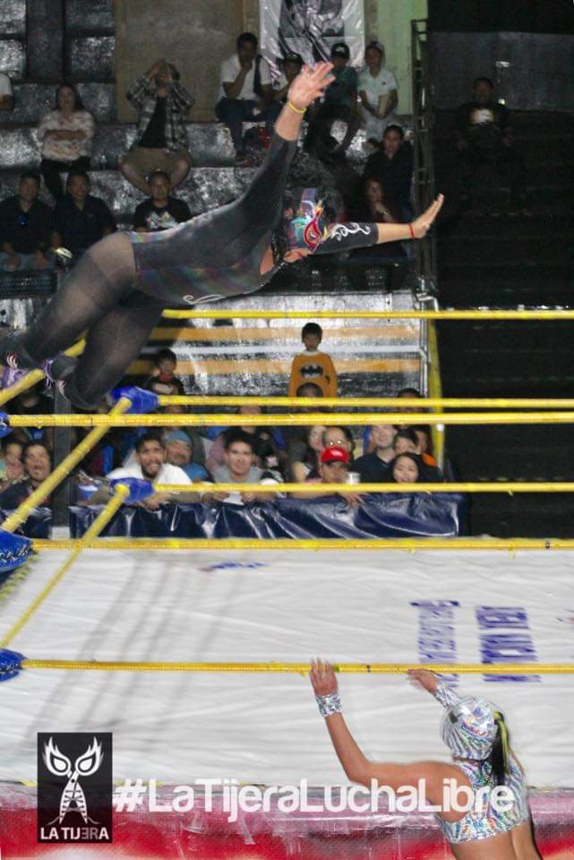 LaTijeraLucha's tweet image. Trepidante duelo femenil en la #ArenaNaucalpan, con el triunfo para la pareja de @Lolita_AAAngel y la juvenil #MissDelicious en contra de #Hahastary y @peqeStarfire, en contienda que hizo gritar al público asistente por los lances, castigos y llaves.
#latijeraluchalibre