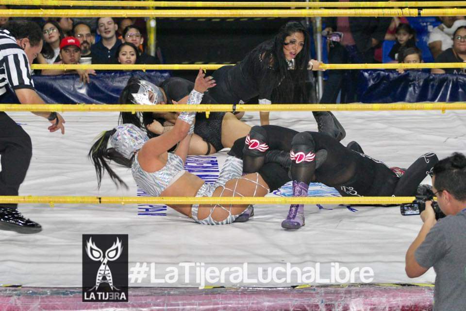LaTijeraLucha's tweet image. Trepidante duelo femenil en la #ArenaNaucalpan, con el triunfo para la pareja de @Lolita_AAAngel y la juvenil #MissDelicious en contra de #Hahastary y @peqeStarfire, en contienda que hizo gritar al público asistente por los lances, castigos y llaves.
#latijeraluchalibre