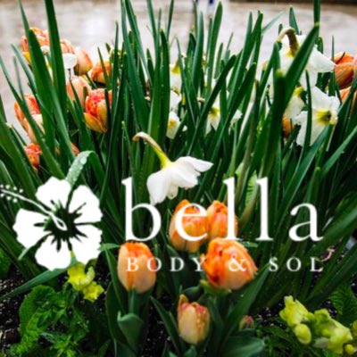 BellaBodyAndSol's tweet photo. #NewProfilePic https://t.co/X4pD95dMiK