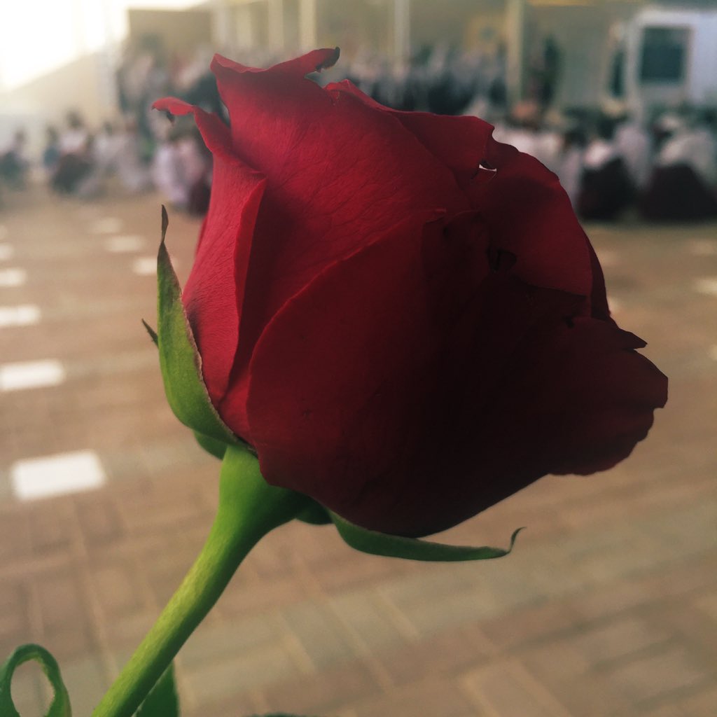 📖كل عام و #المُعلم بخير📖