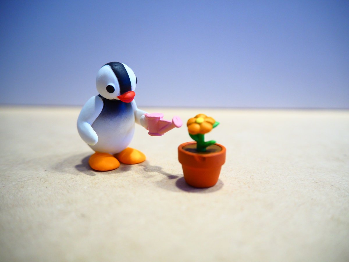 ピンガ Twitter Search