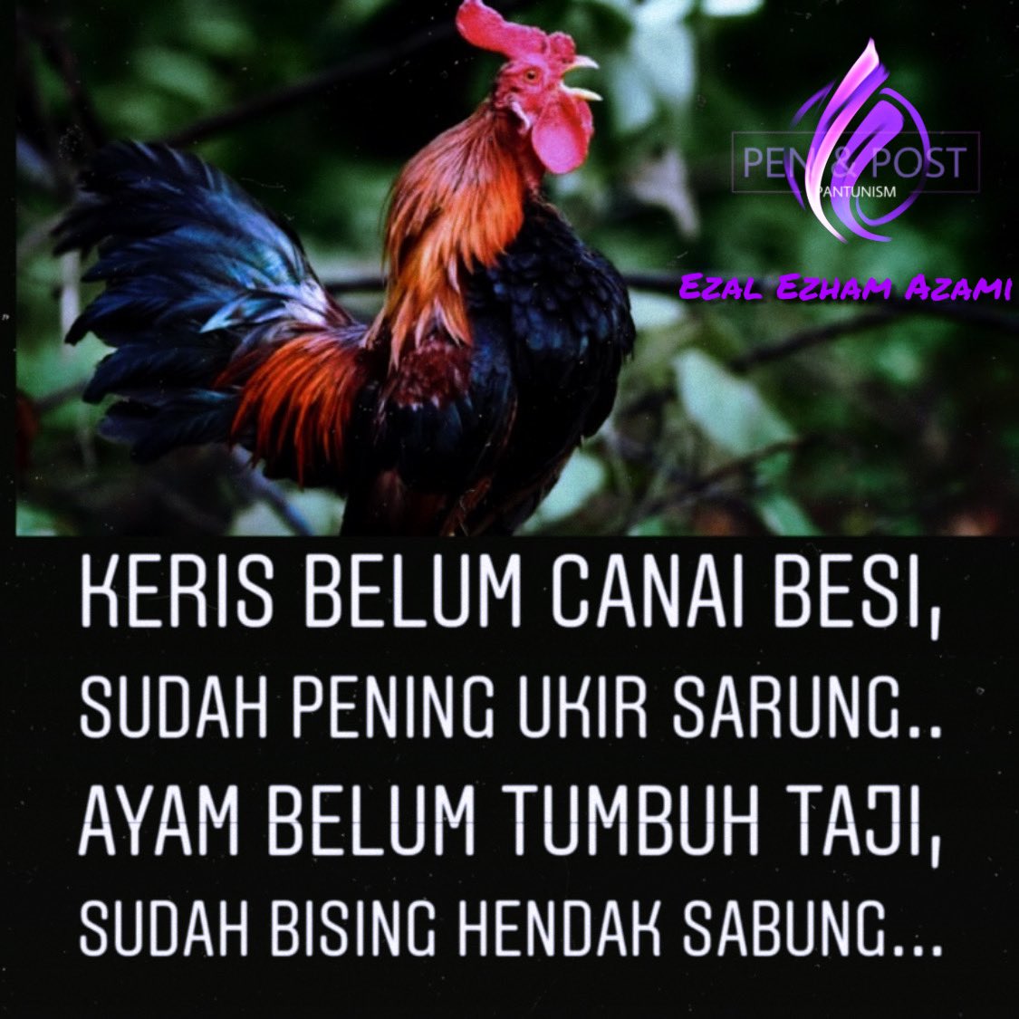 3xetv Ldslb3nm