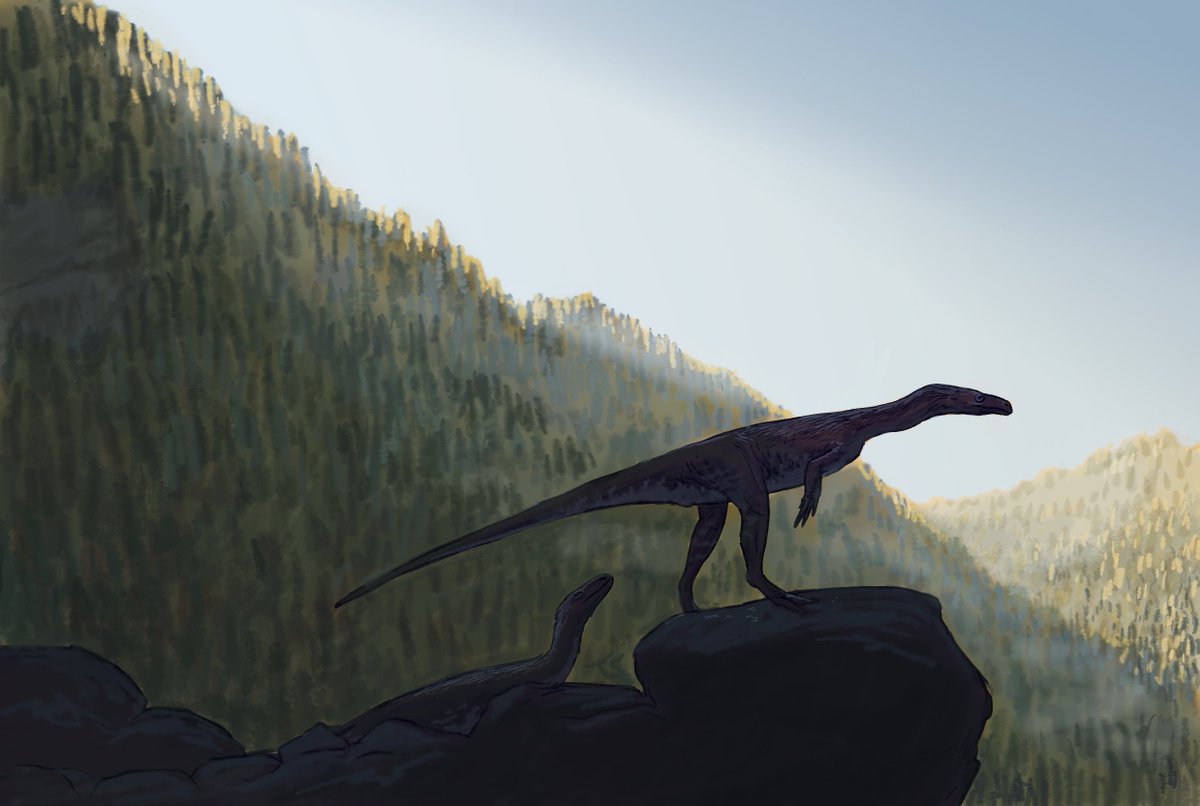 Joschua Knuppe Results From The Paleostream This Whole Weekend Turned Out To Be Bonaparte Themed Guaibasaurus Clevosaurus Riojasuchus And Mussaurus All Three Known Ontogenetic Stages Paleoart Dinosaurs Triassic Animals Bonaparte Joschua Knuppe Results From The Paleostream This Whole Weekend Turned Out To Be Bonaparte Themed Guaibasaurus Clevosaurus Riojasuchus And Mussaurus All Three Known Ontogenetic Stages Paleoart Dinosaurs Triassic Animals Bonaparte