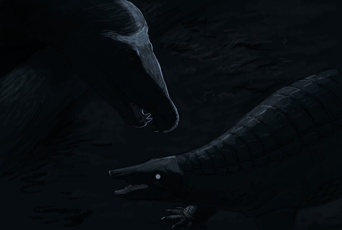 Joschua Knuppe Results From The Paleostream This Whole Weekend Turned Out To Be Bonaparte Themed Guaibasaurus Clevosaurus Riojasuchus And Mussaurus All Three Known Ontogenetic Stages Paleoart Dinosaurs Triassic Animals Bonaparte Joschua Knuppe Results From The Paleostream This Whole Weekend Turned Out To Be Bonaparte Themed Guaibasaurus Clevosaurus Riojasuchus And Mussaurus All Three Known Ontogenetic Stages Paleoart Dinosaurs Triassic Animals Bonaparte