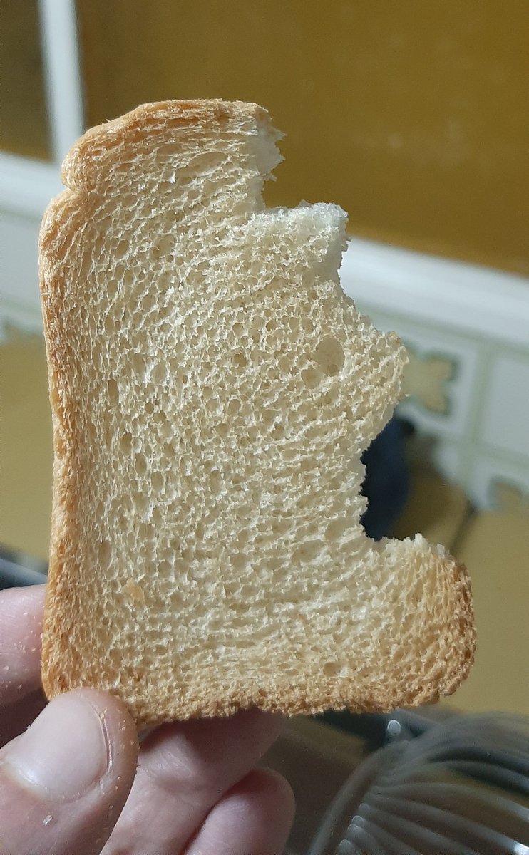 Dioggenis's tweet photo. Toast logic. 

@alllibertynews - liberty breakfast
@CNN - some laugh making article right here. Why fake news? 
@HISTORY - the history of bread
@24Kitchen - toasts for brunch 
@TheEllenShow - spread the toast, with kindess

#Toast
#2020election
#PointThatFinger 
#SocietyThrowBack https://t.co/DtHyHCrW2N