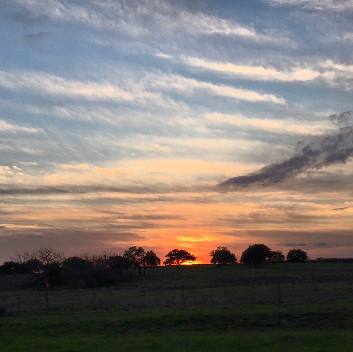MarissaKubala's tweet image. February Sunset #thisview #skyart #TexasSunset #justbreathe