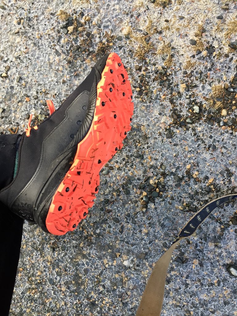 HeartDocSharon's tweet photo. @hvanspall @ParksCanada_NS @CeilidhMillar @DrMarthaGulati @mmamas1973 Like Totally Do 🏃♀️ !! #Icebugs are the secret!! Turns you into a tank on ice (cleats)-Learned this in #Minnesota, but Couldn’t survive winters here without them (lotsa freeze/thaw ❄️/☔️ cycles) Even Kodas claws sometimes slip, but no prob for me w/these shoes! #HighlyRecommended https://t.co/5j6aD13nhv