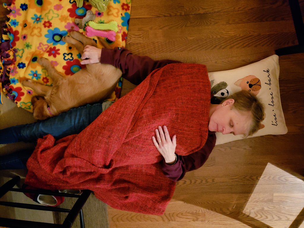TheHappyCobber's tweet photo. Day one. @kmj_johnson and Frida asleep on the kitchen floor. I think these two are going to get along. https://t.co/C7uu1zFnbT