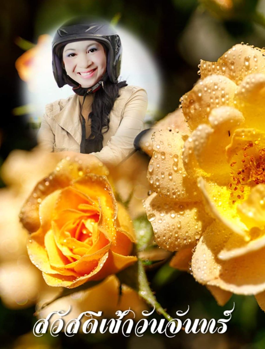 good morning in thai