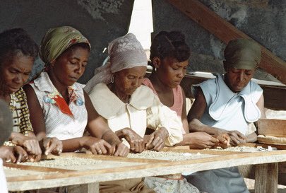 ONU_fr's tweet photo. Les producteurs de café ne gagnent que 0,4% du prix de votre cappucino ou latte ☕.

La Conférence des Nations Unies sur le commerce et le développement, @UNCTAD, oeuvre pour construire des chaines de valeur durables et équitables. https://t.co/ApkjsANieu https://t.co/tRjDz7bw3F