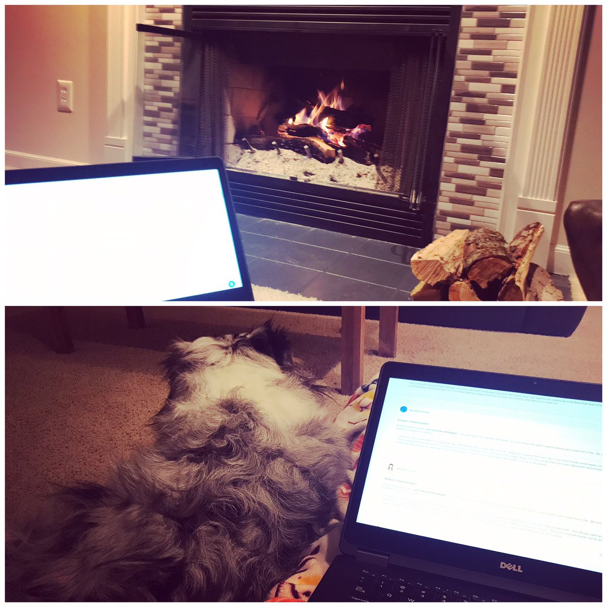 JennieEbersole's tweet image. 🔥 Fire to the right of me... 🐶 Kodiak to the left... 🥰 #SundayGrading #TeacherLife #iteach8th