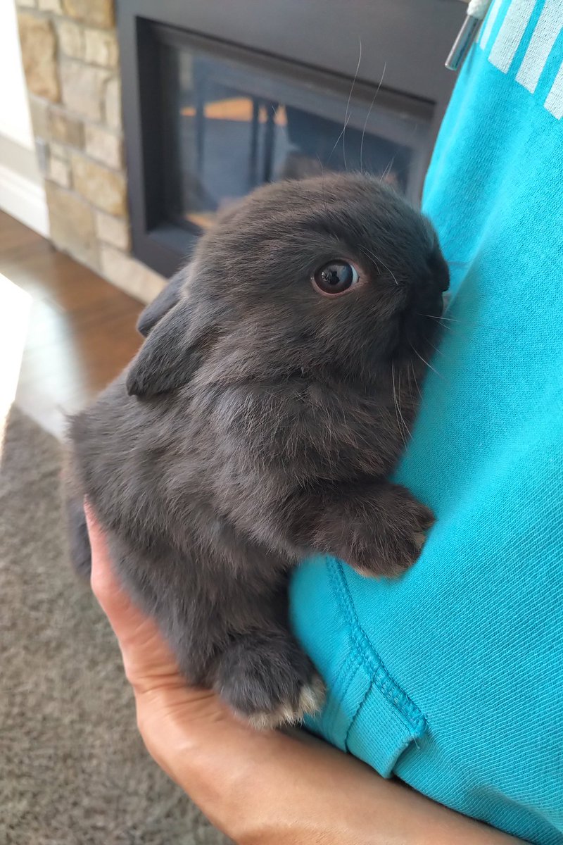 Jason Coolman tweet media