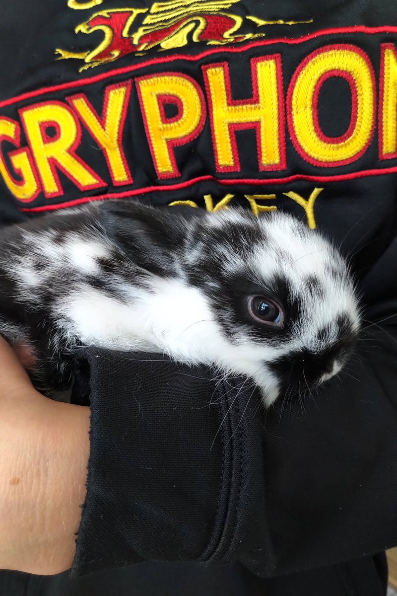 Jason Coolman tweet media