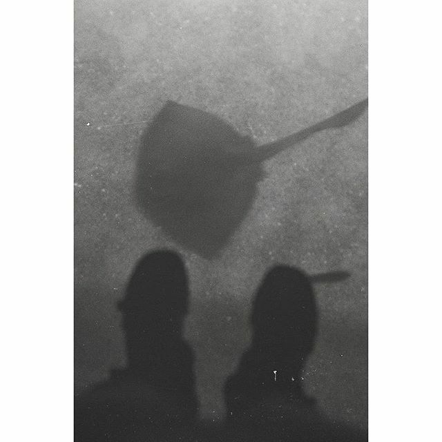 divaulia's tweet photo. Mau ketemu ini
.
.
.
#jakartaaquarium #jakarta #filmphotography #filmisnotdead #35mm #ishootfilm #35mmfilm #filmcamera #staybrokeshootfilm #believeinfilm #buyfilmnotmegapixels #istillshootfilm #filmisalive #shotonfilm #filmcommunity #grainisgood #keepfil… https://t.co/GRCRqHs1I6 https://t.co/2hYp5Jhibb