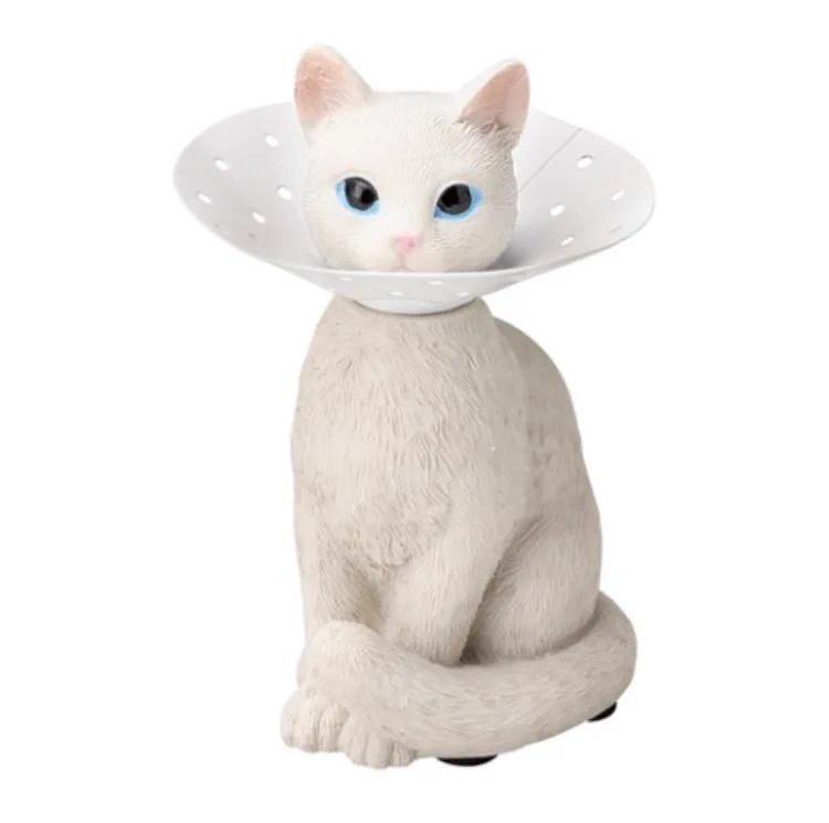 @Kawaiipettv 猫の自分でエリザベス付けに行く動画かわュ過ぎる🐱💕そしてエリザベスという商品名もかわュ過ぎる🐱💕 