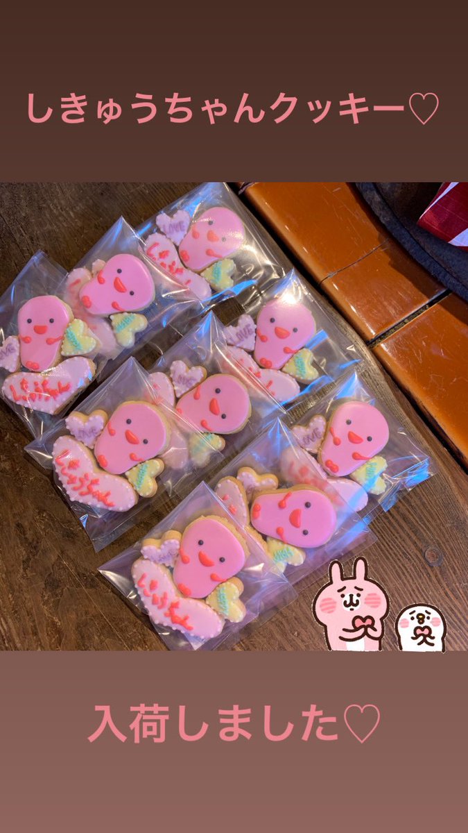 しきゅうちゃん Sikyuchan49 Twitter