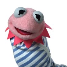 empress_jewels_'s tweet photo. Sooo not to ruin @AlexanderWozny's world, but Kermit and Miss Piggy have children, and they're....something alright 🐷🐸
@OuttakeImprov https://t.co/0bX7kVoUo6