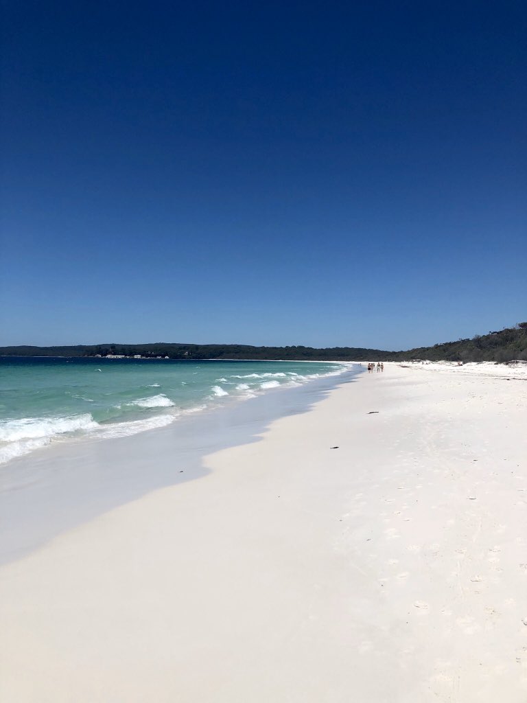 braggy's tweet photo. Down at Hyams beach where the white sand squeaks under foot like a fine polystyrene. Disgusting. https://t.co/OOVXlF6Ga7